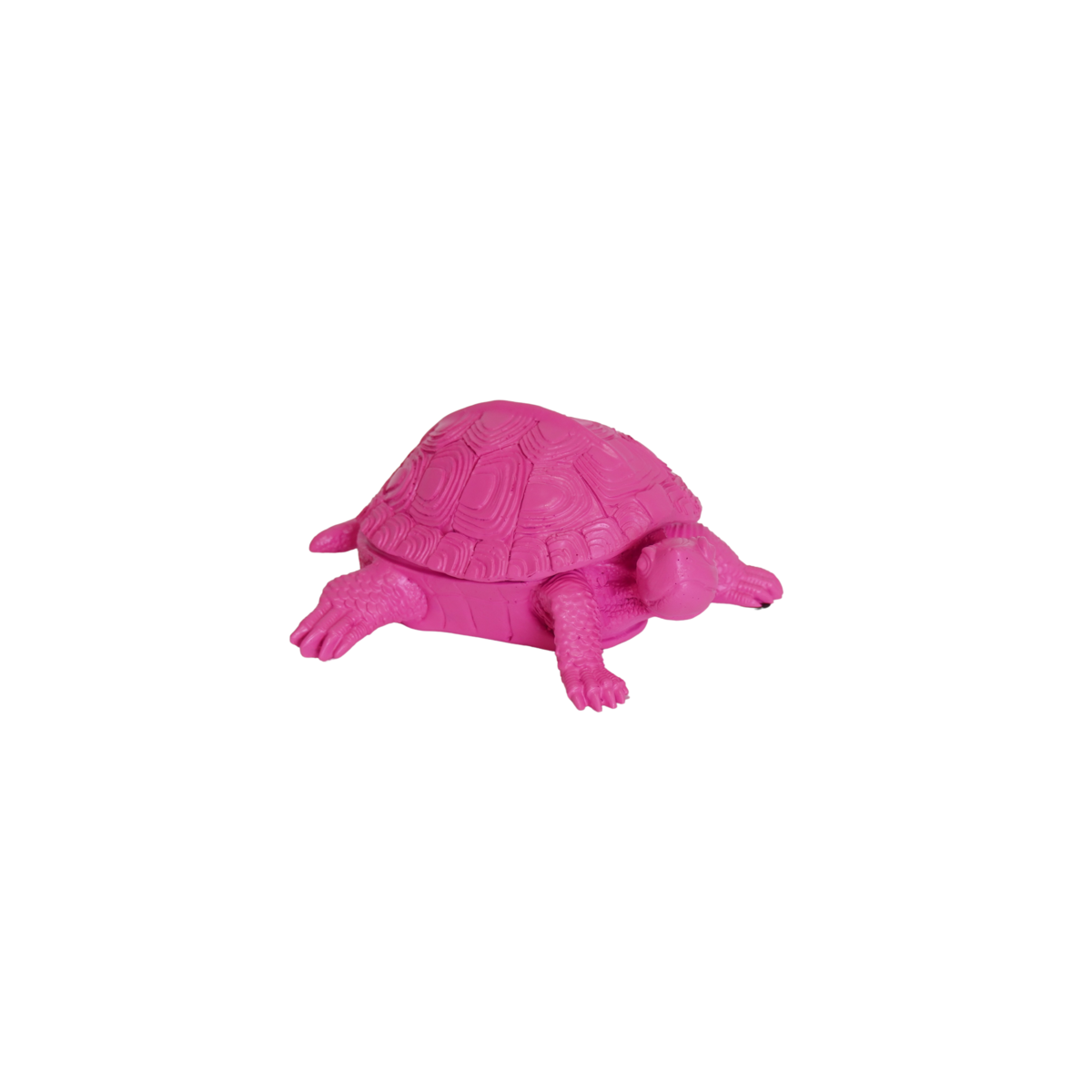 Schildpaddoos Neon Roze