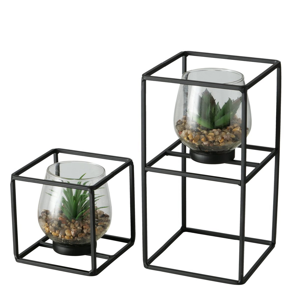 Plant in glas/houder set van 2 stuks