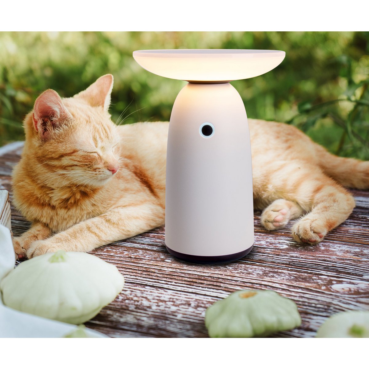 Solar Lamp LED "ADA" Wit H 22,5cm