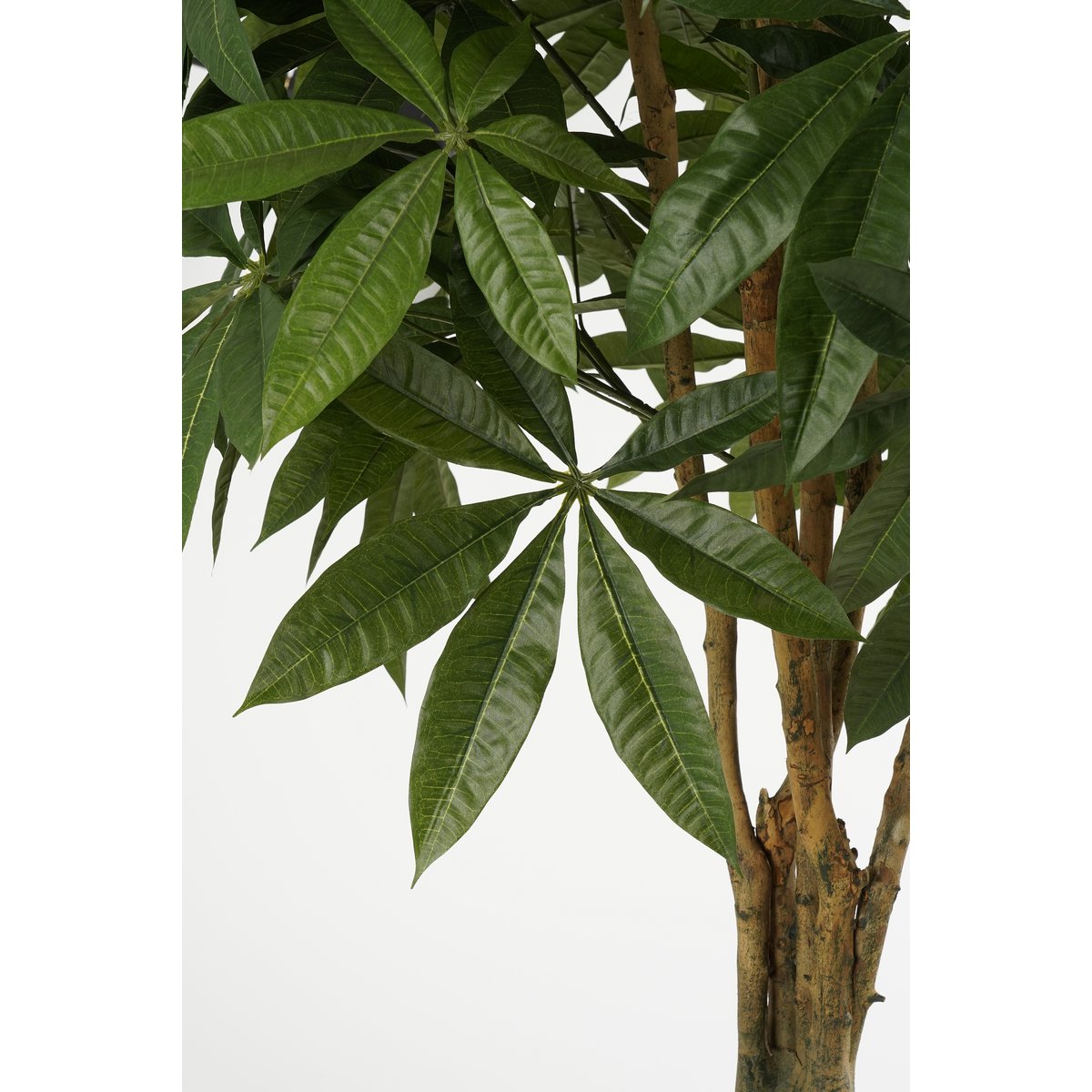 Pachira Kunstplant - H150 x Ø65 cm - Groen