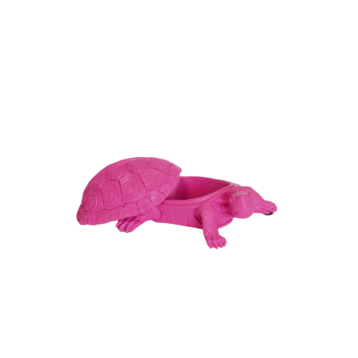 Schildpaddoos Neon Roze