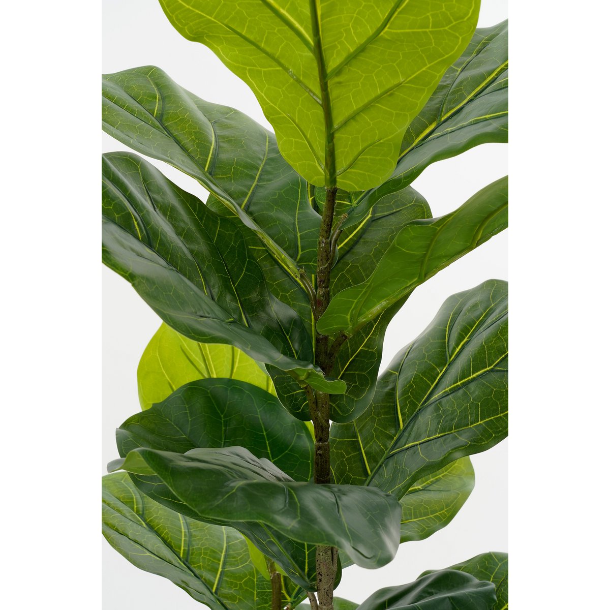 Ficus Lyrata Kunstplant in Pot - H150 x Ø50 cm - Groen