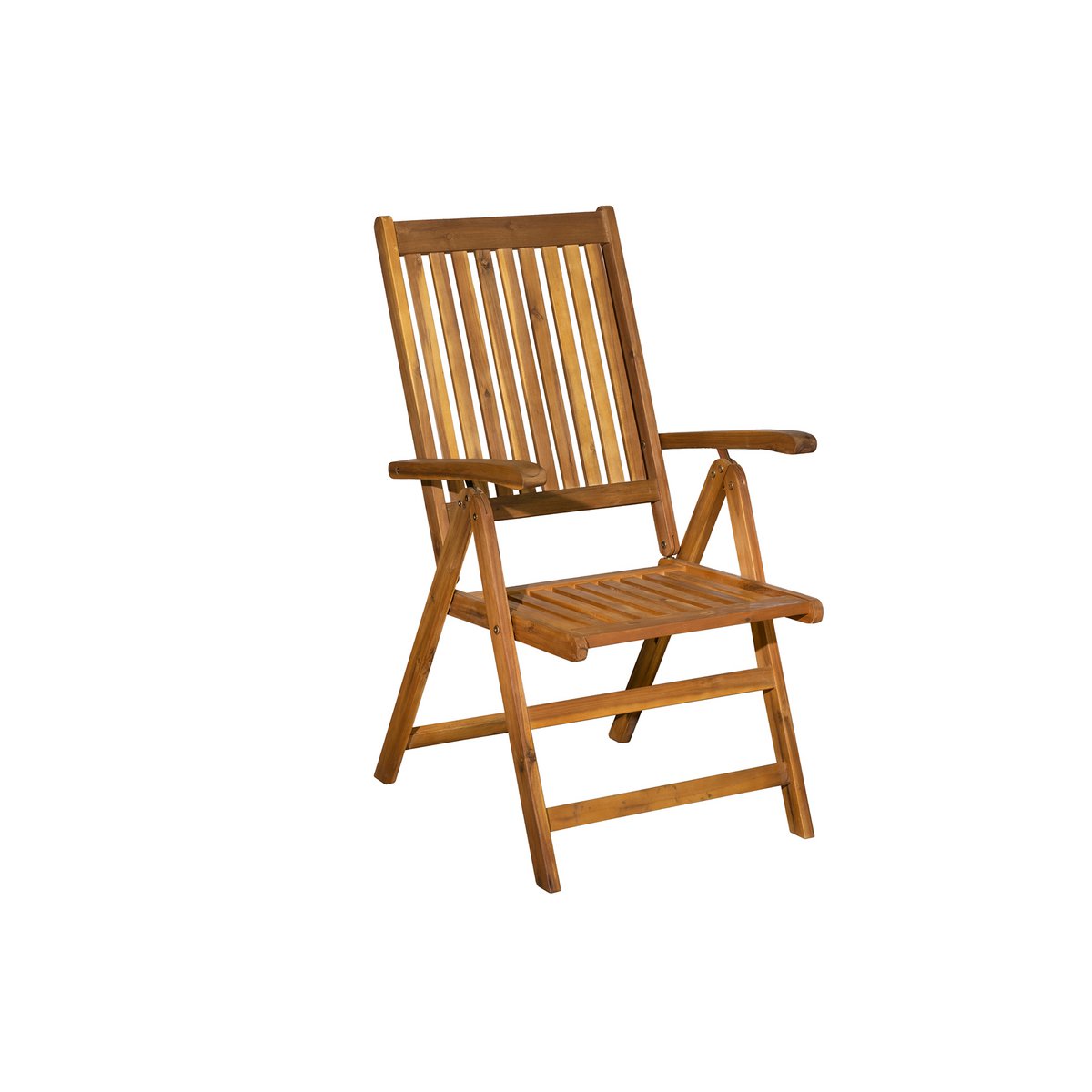 Verstelbare tuinstoel, set van 2
