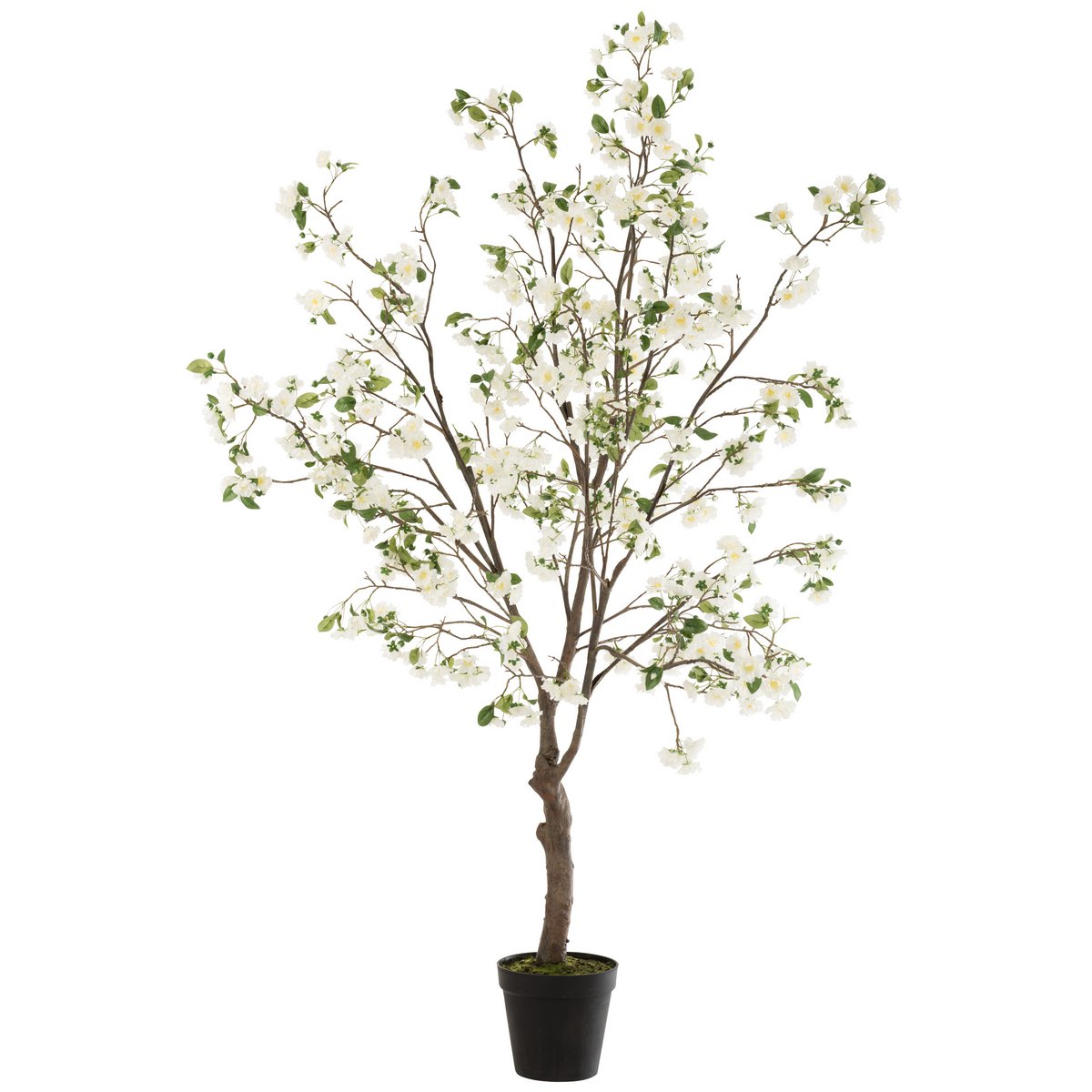 J-Line Bloesemboom Plastiek Wit/Bruin Extra Large
