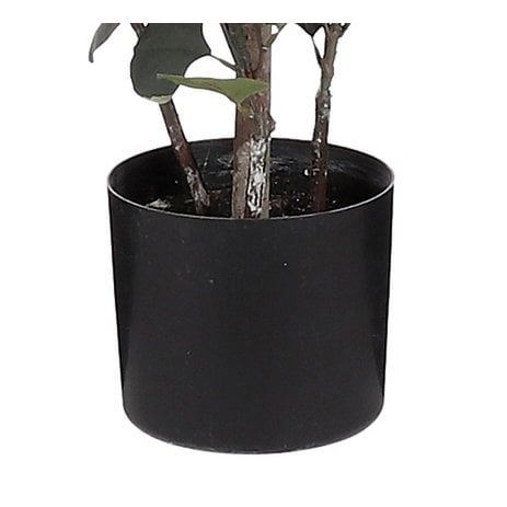 Eucalyptus Kunstplant in Bloempot - H150 x Ø30 cm - Groen
