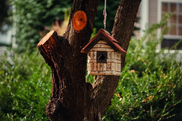 Vogelhuisjes