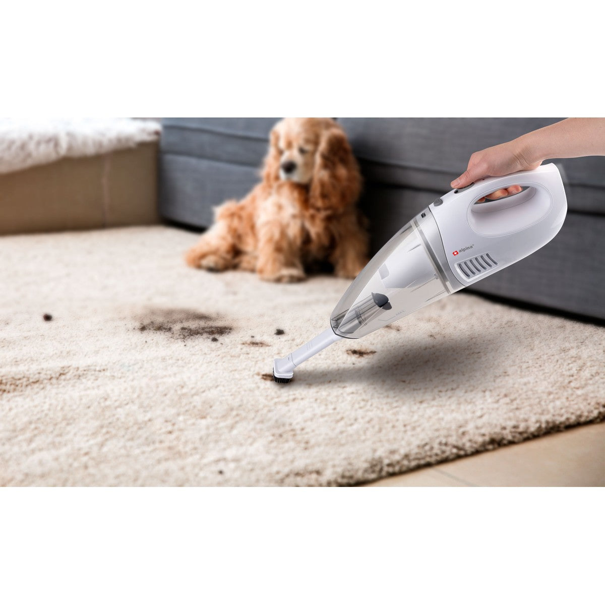 Vacuum Cleaner Handheld 4.8V