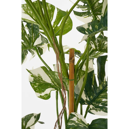 Monsteraboom Kunstplant - H140 x Ø120 cm - Groen