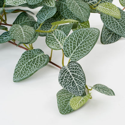 Fittonia Kunst Hangplant - L15 x B20 x H54 cm - Groen