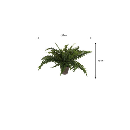 Kunstplant Boston fern Groen Ø50 cm x H42cm