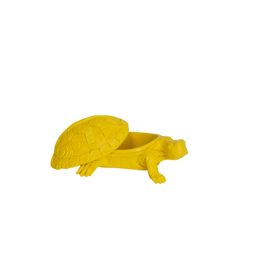 Schildpaddoos Geel