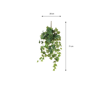 Hedera Hangplant Groen H71cm