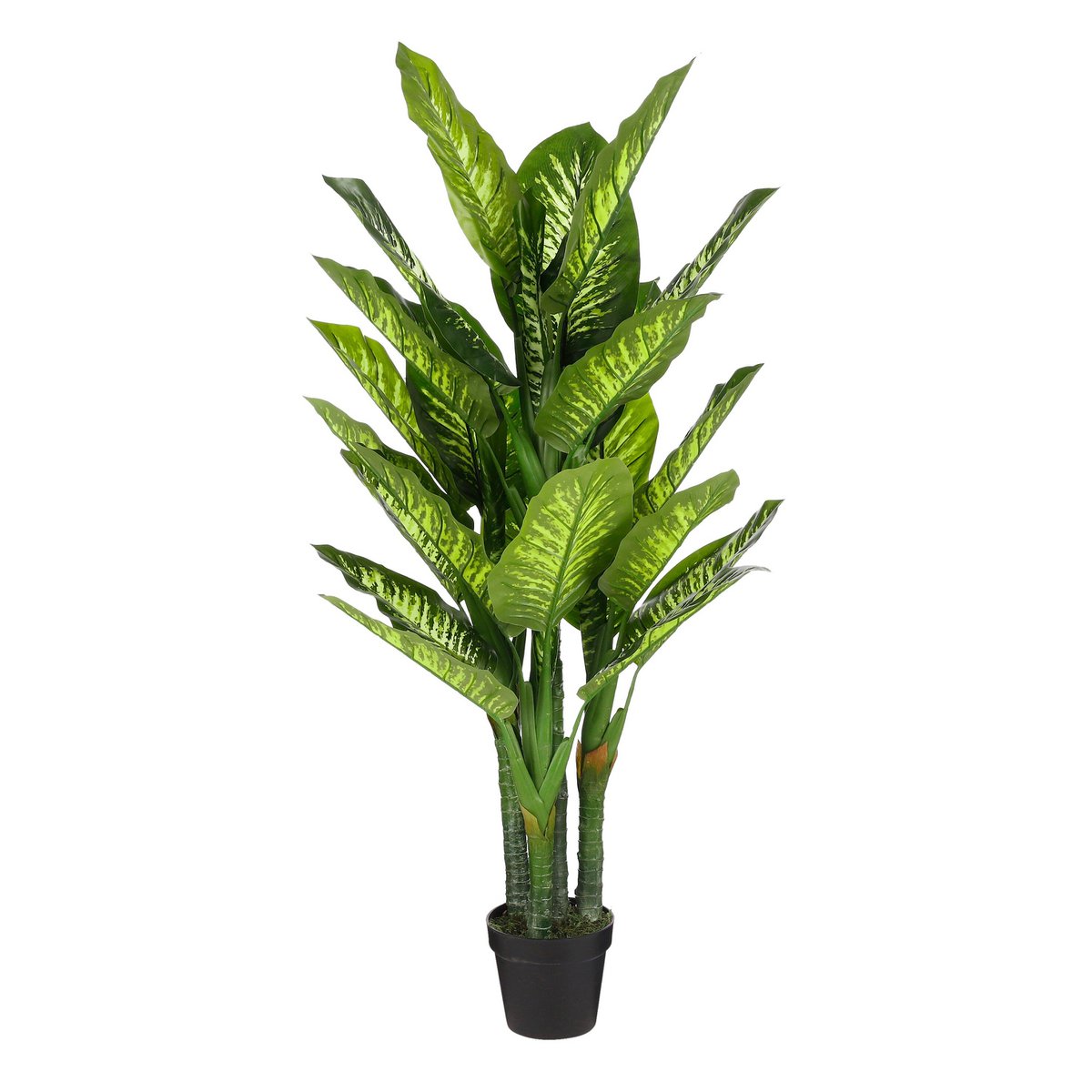 Kunstplant Dieffenbachia H150 x Ø70 cm