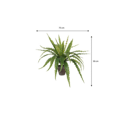 Asplenium Kunstplant in Bloempot Stan - H54 x Ø66 cm - Groen