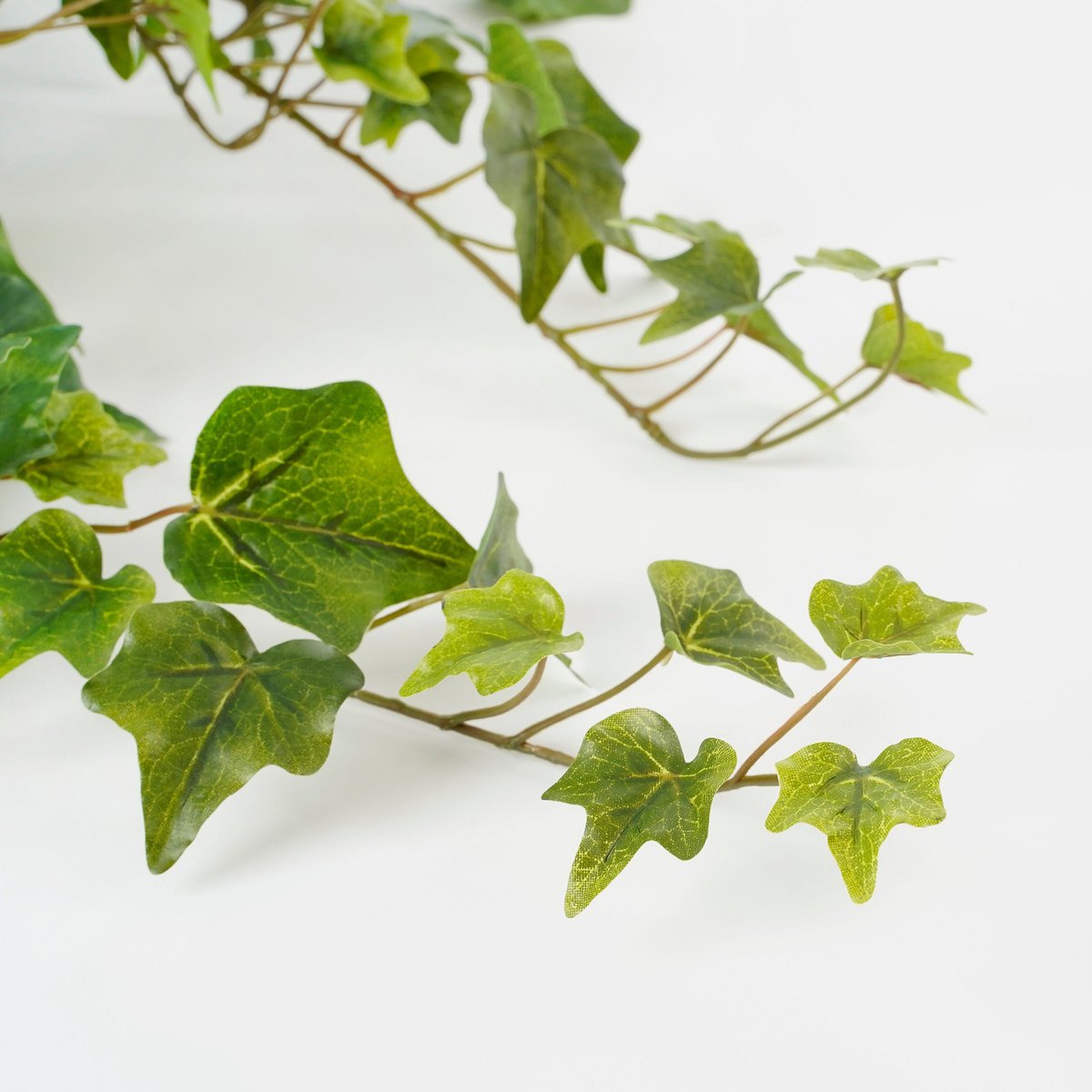 Hedera Hangplant Groen H71cm