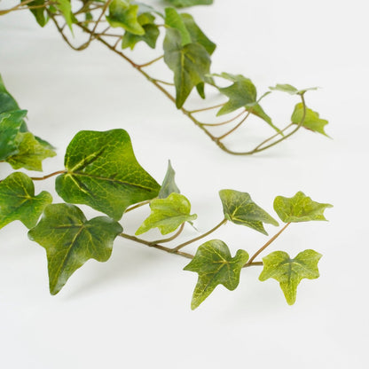 Hedera Hangplant Groen H71cm