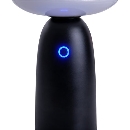 Solar Lamp LED "ADA" Zwart H 22,5cm