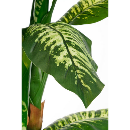 Kunstplant Dieffenbachia H150 x Ø70 cm
