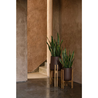 De Gevorkte Wortelplanter - Natuurlijk Bruin 66cm