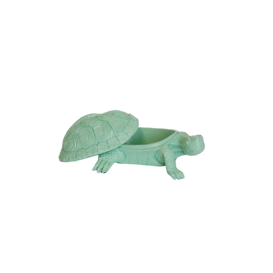 Schildpaddoos Mintgroen