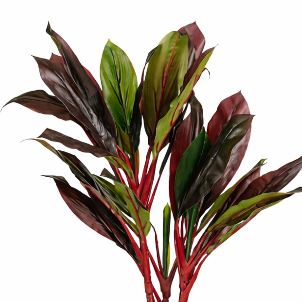 Kunstplant Cordyline Rood Ø70cm H90cm