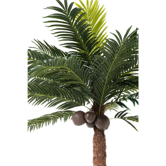 J-Line Palmboom 4 Kokosnoten In Pot Plastiek Groen