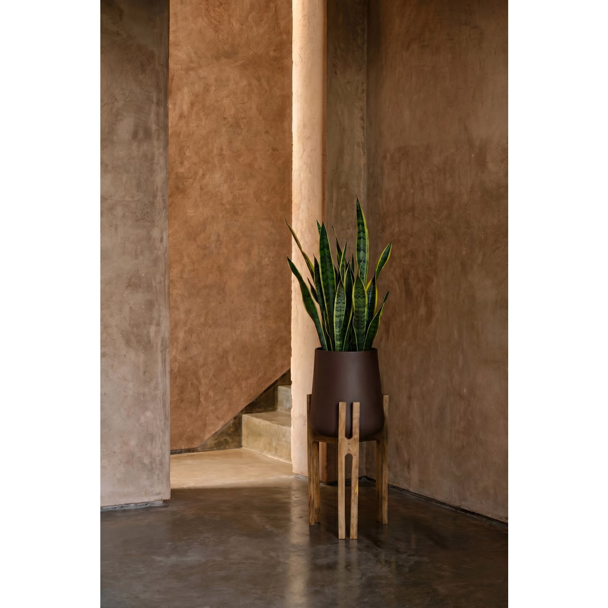 De Gevorkte Wortelplanter - Natuurlijk Bruin 66cm