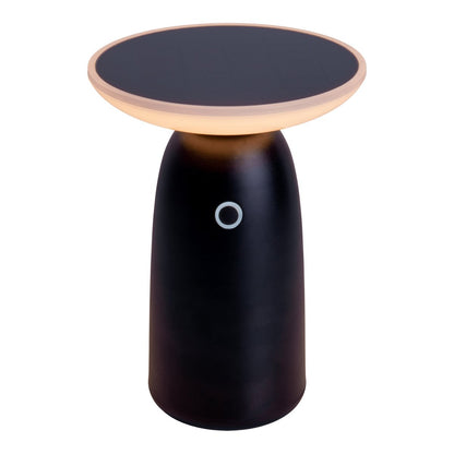 Solar Lamp LED "ADA" Zwart H 22,5cm