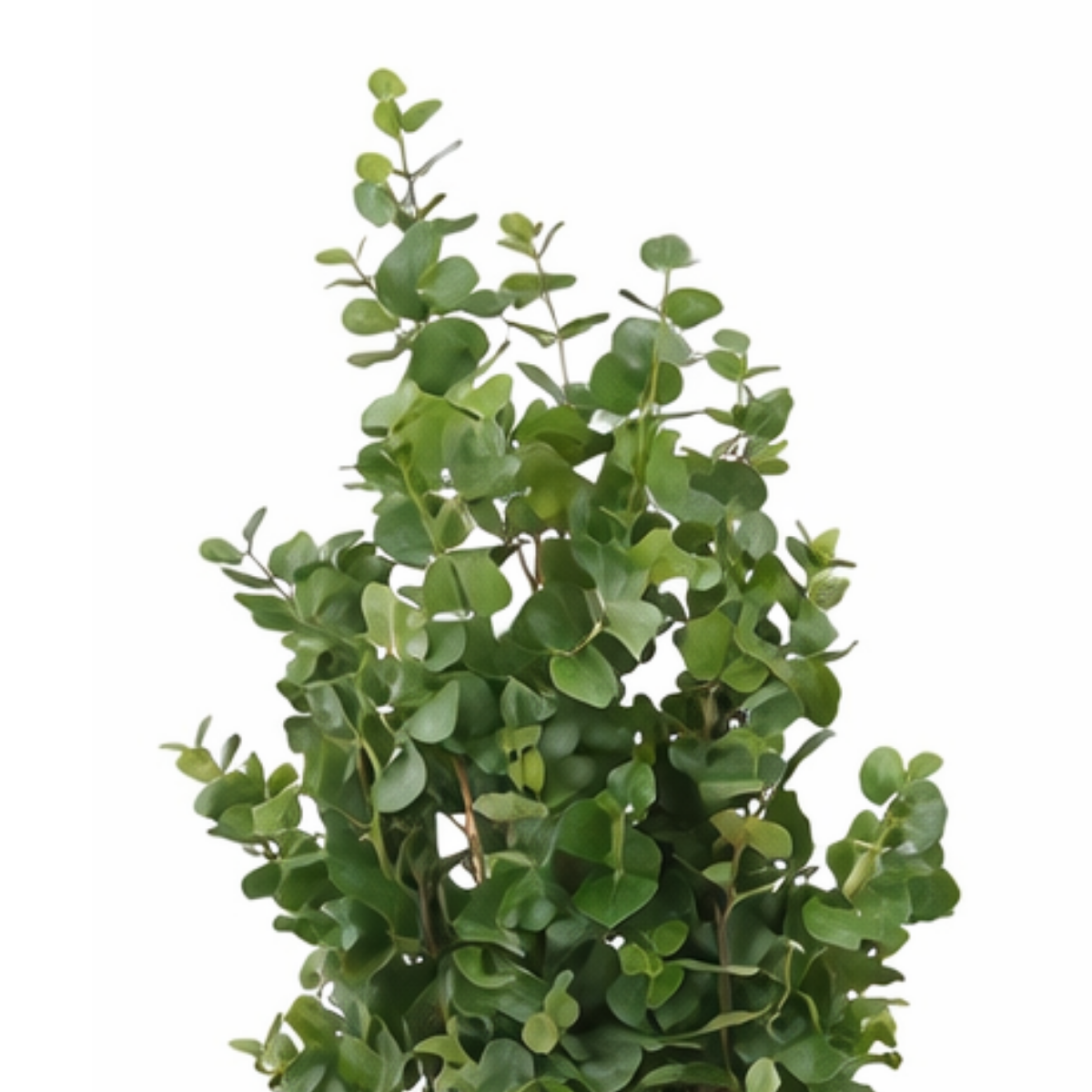 Kunstplant Eucalyptusboom Groen  Ø90 H175cm