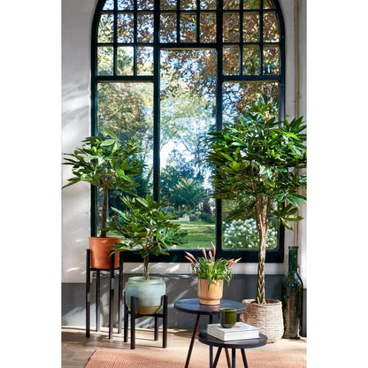 Kunstplant Pachira Groen H150cm Ø65cm