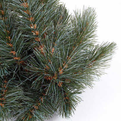Guirlande Forest frosted 180cm Groen