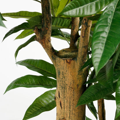 Kunstplant Pachira Groen H175cm Ø85cm