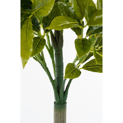 Kunstplant Laurel Groen Ø40cm H120cm