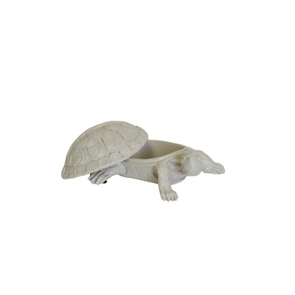 Schildpaddendoos Zandkleur