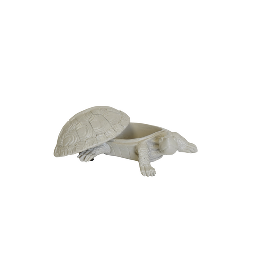 Schildpaddendoos Zandkleur