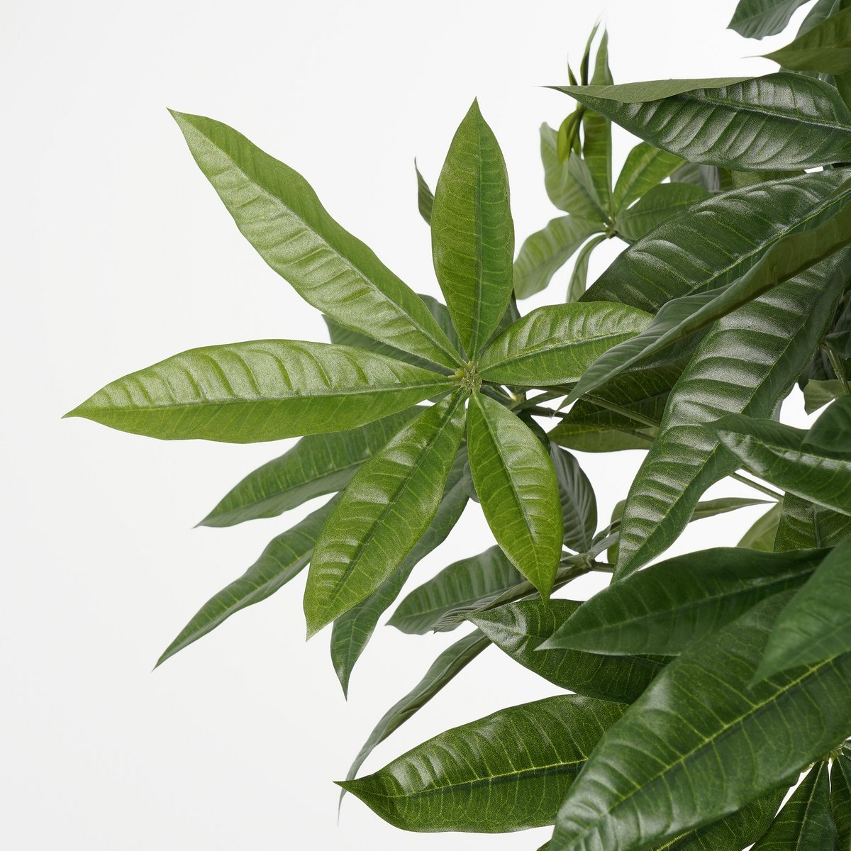 Kunstplant Pachira Groen H120cm Ø50cm
