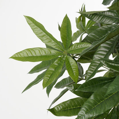 Kunstplant Pachira Groen H120cm Ø50cm
