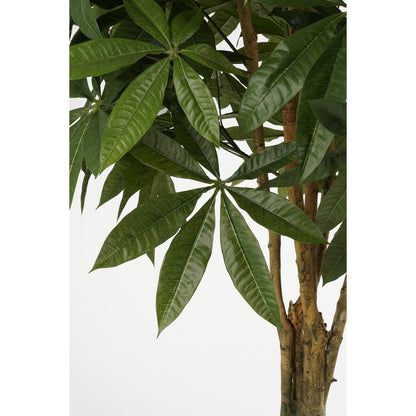 Pachira Kunstplant - H150 x Ø65 cm - Groen