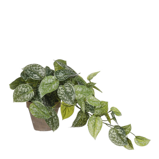 Kunst hangplant Scindapsus Groen Ø17cm H44cm