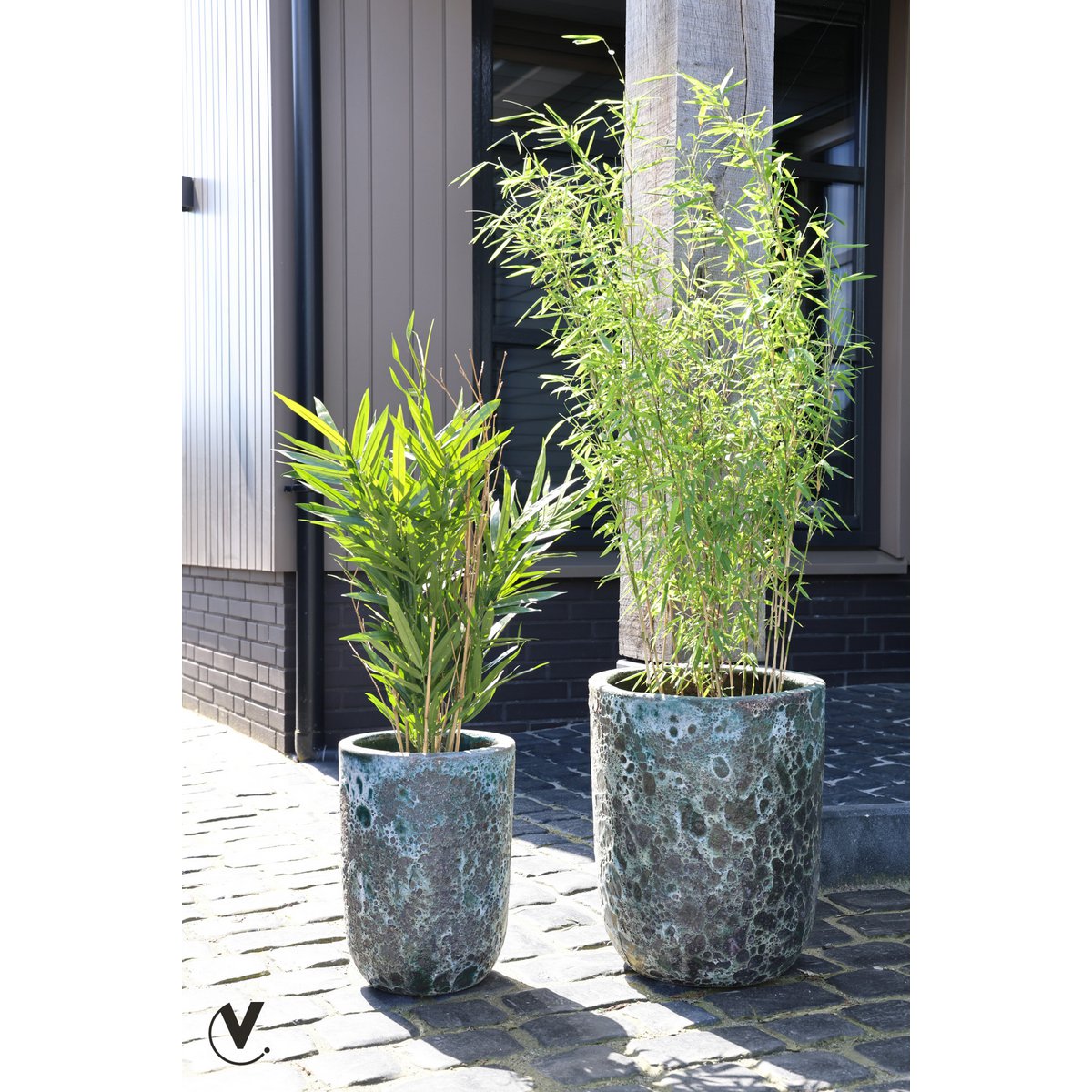 Plantenpot set van 2 - Fuji Relic Jade