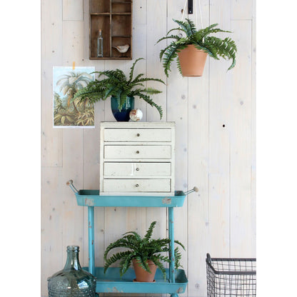 Kunstplant Boston fern Groen Ø50 cm x H42cm