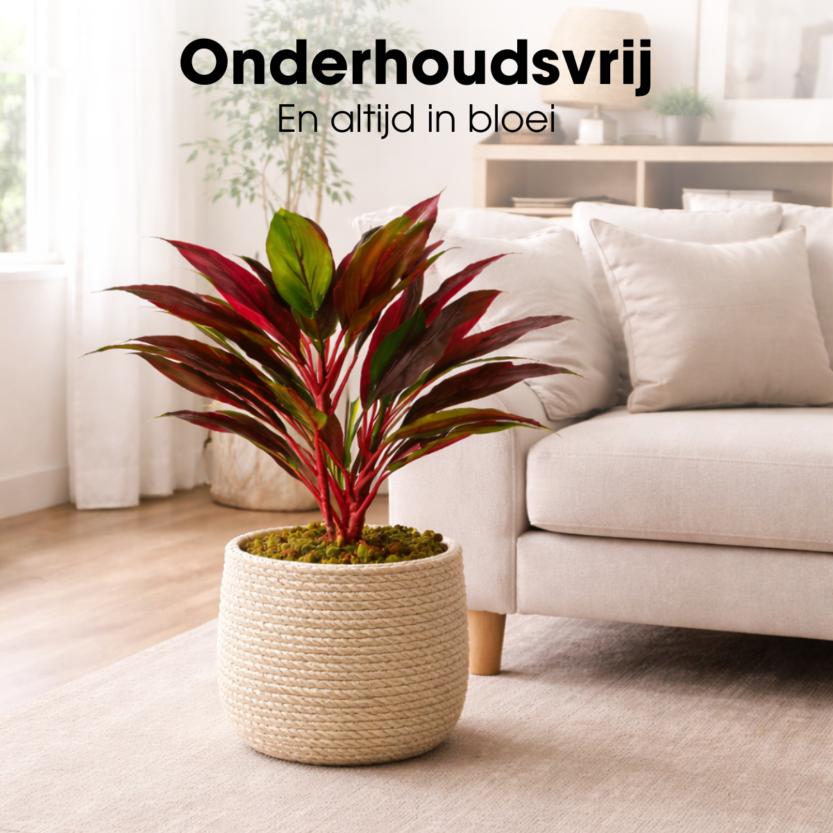 Kunstplant Cordyline Rood Ø70cm H90cm