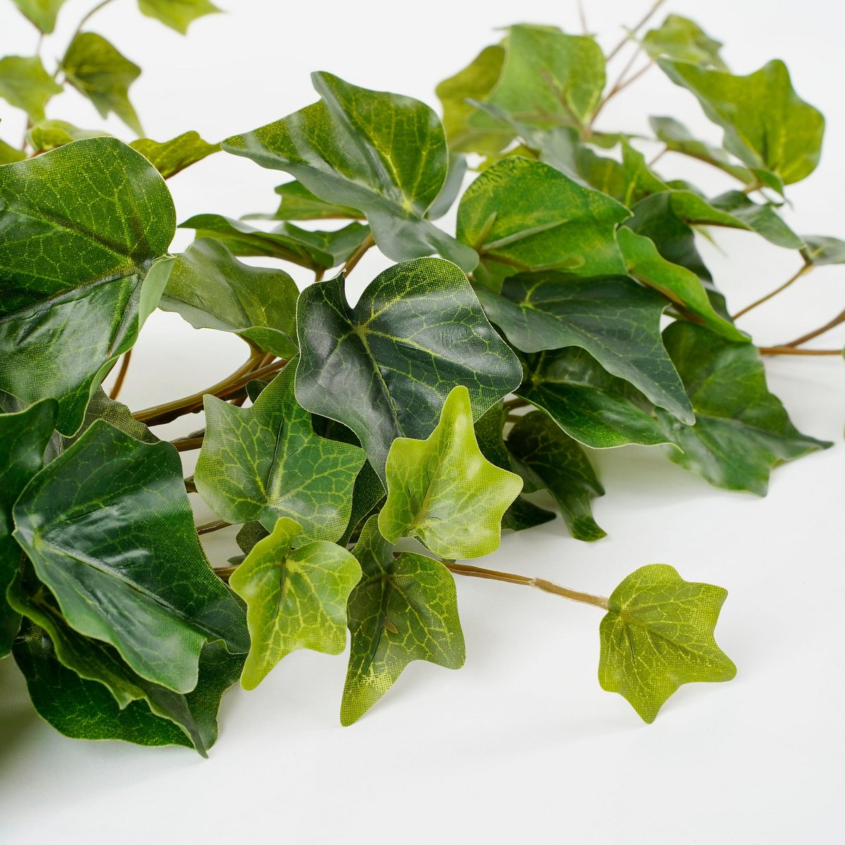 Hedera Hangplant Groen H71cm