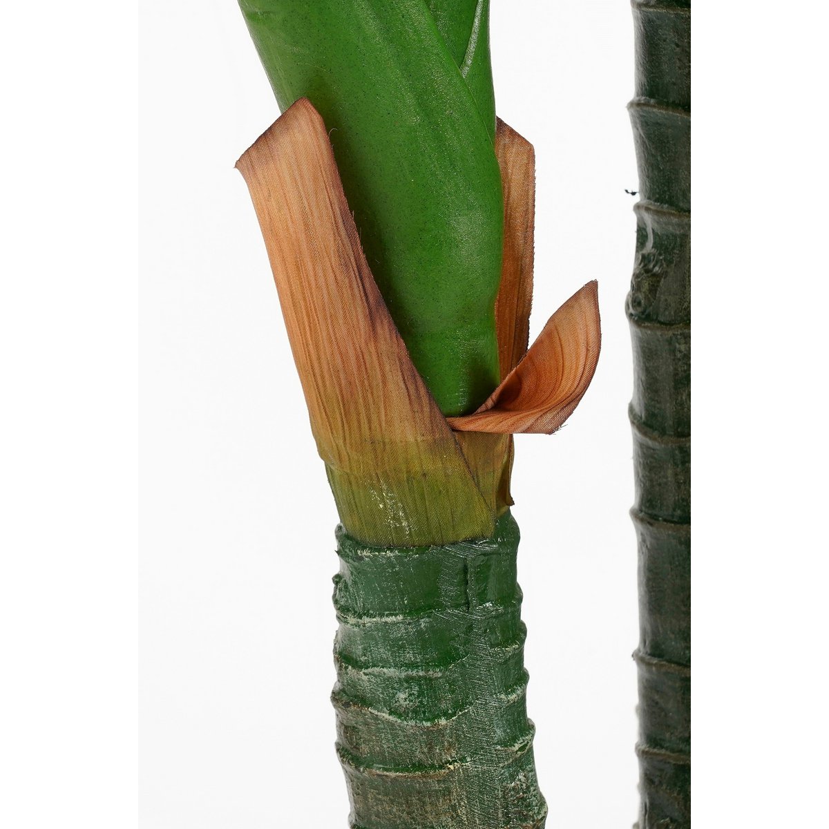 Kunstplant Dieffenbachia H150 x Ø70 cm