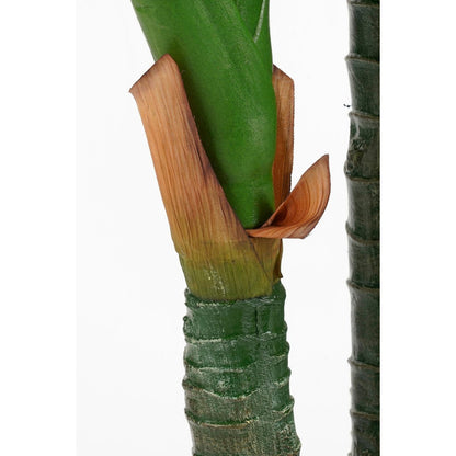 Kunstplant Dieffenbachia H150 x Ø70 cm