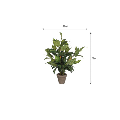Hosta Kunstplant in Bloempot Stan - H65 x Ø40 cm - Groen