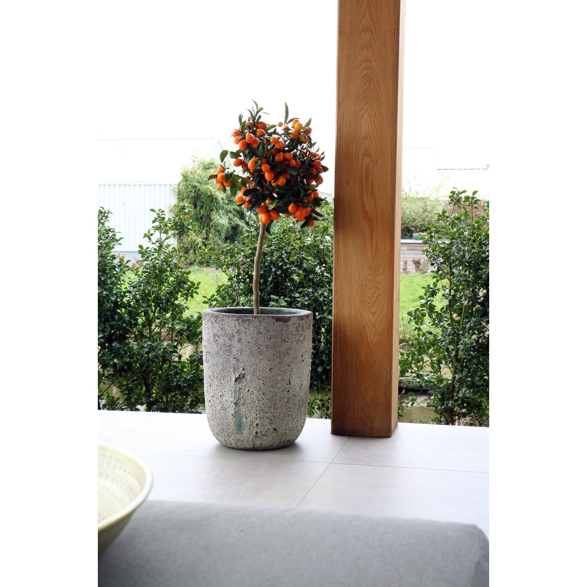 Plantenpot Set van 2 - Fuji Oceanic Coral