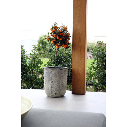 Plantenpot Set van 2 - Fuji Oceanic Coral