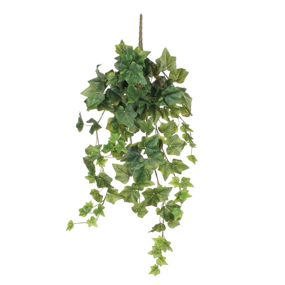 Hedera Hangplant Groen H71cm