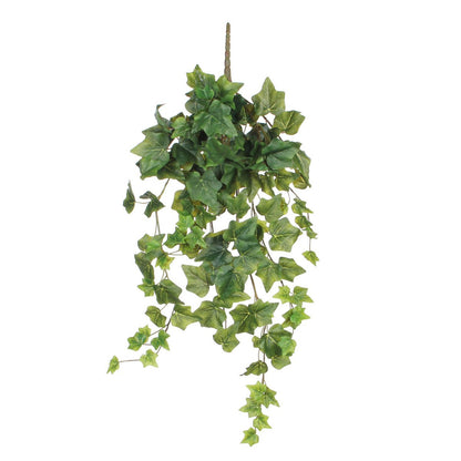Hedera Hangplant Groen H71cm